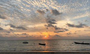 Untitled design - 2025-11-27T144849.736